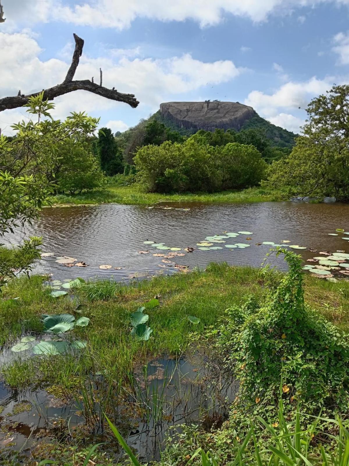 Kings Village Sigiriya Exteriér fotografie