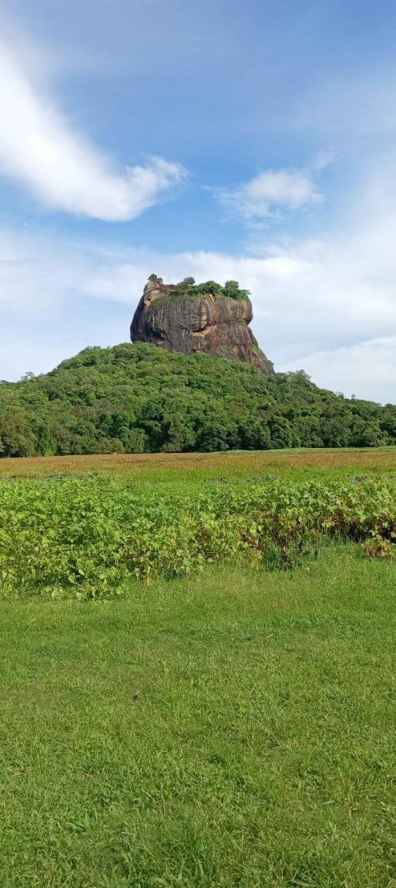 Kings Village Sigiriya Exteriér fotografie