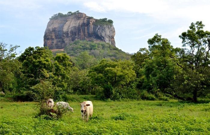 Kings Village Sigiriya Exteriér fotografie