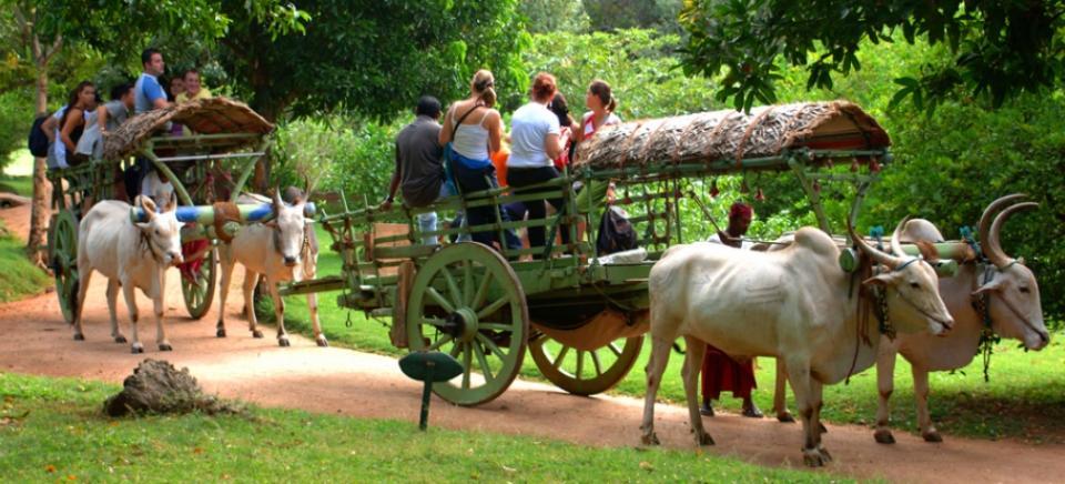 Kings Village Sigiriya Exteriér fotografie