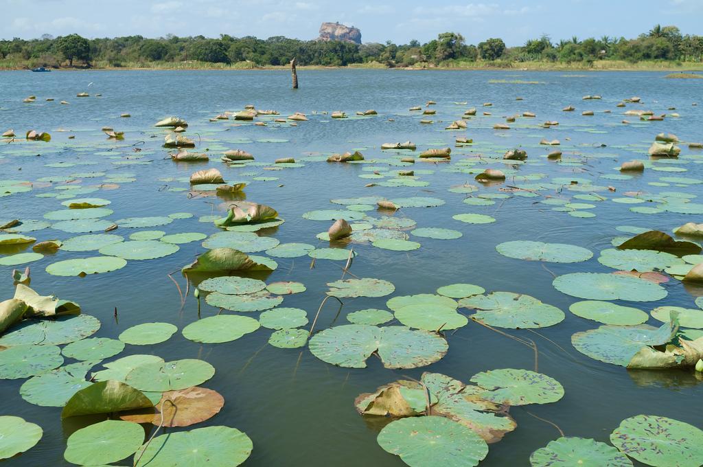Kings Village Sigiriya Exteriér fotografie